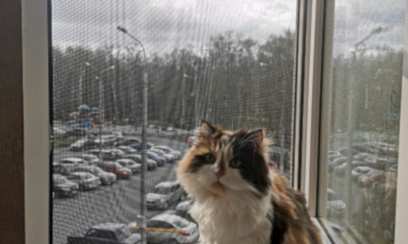 Антикошка pet screen на окна