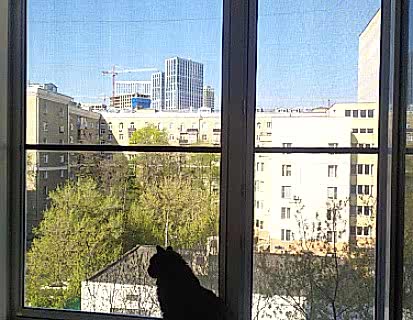 Сетка антикошка для Шелдона