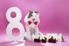 Дорогие женщины! Поздравляем Вас с 8 марта!